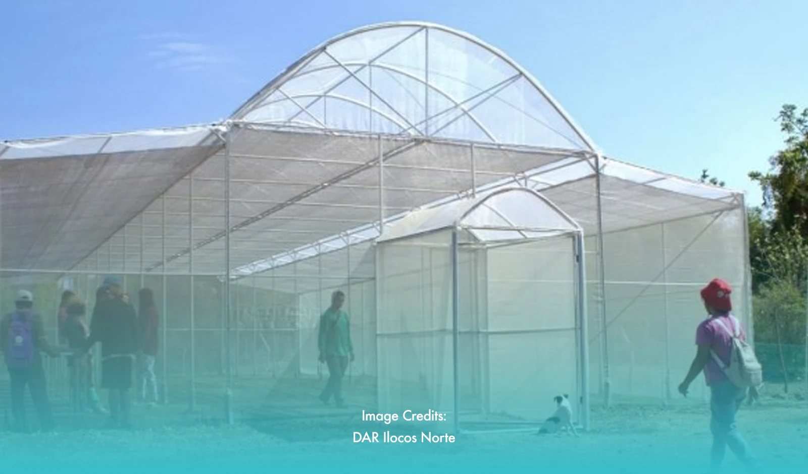 DAR To Boost Food Security Through PHP 1.5 Million Grant To Ilocos Norte Town