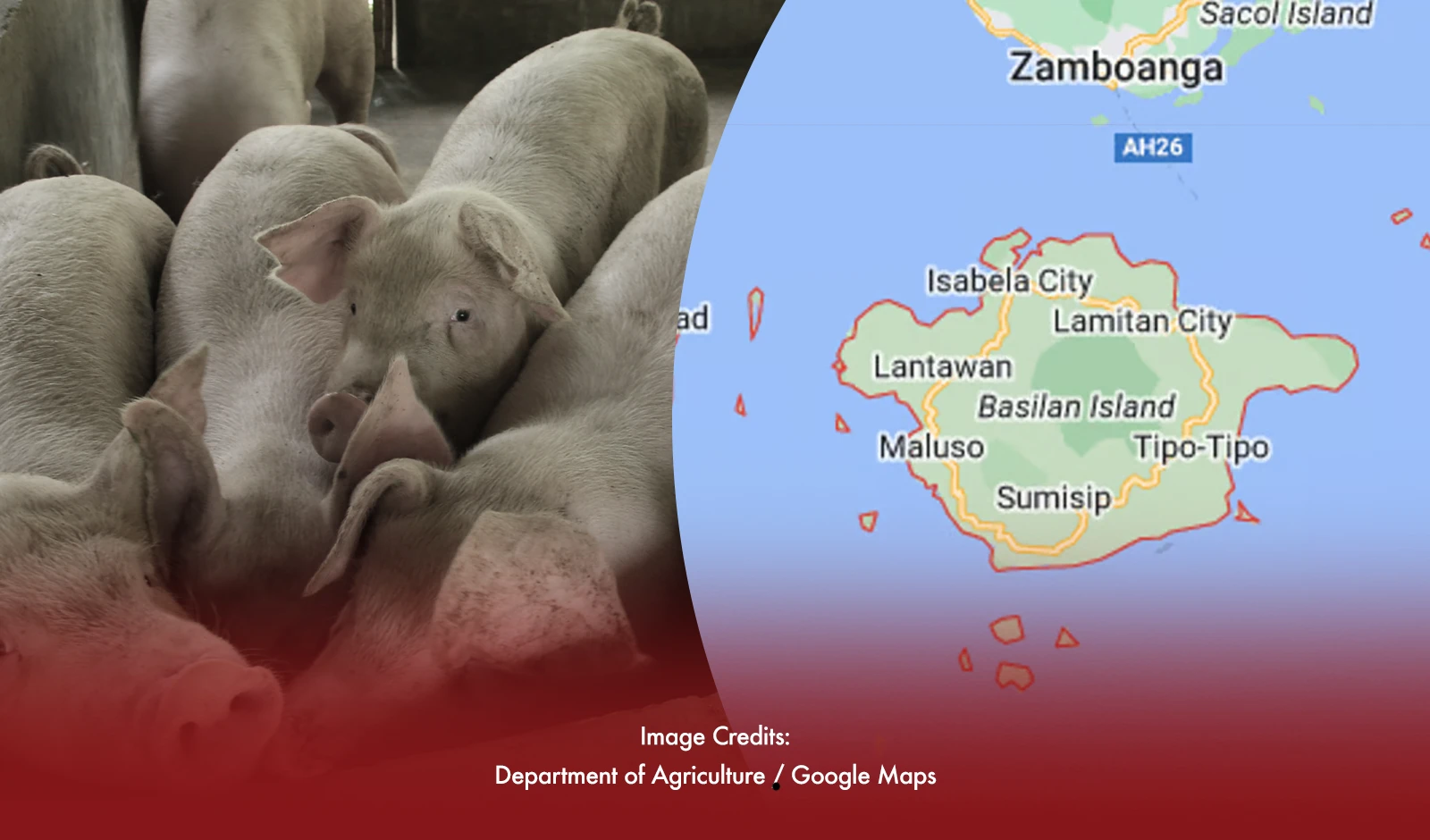 Basilan Implements Vigilant Measures to Combat ASF Threat