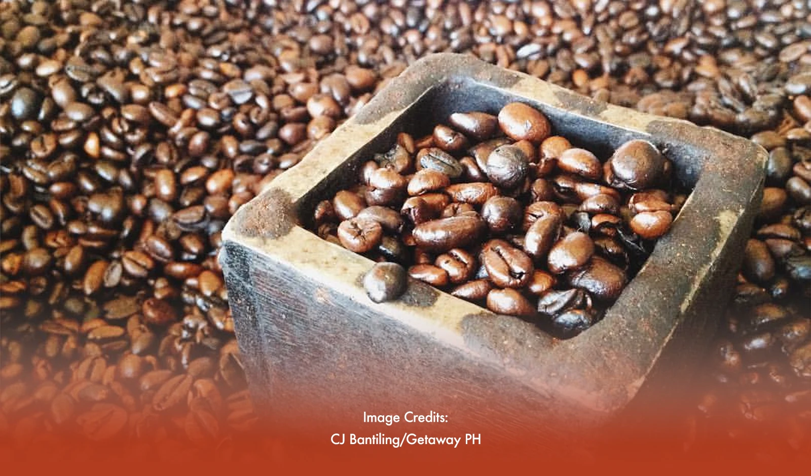 Kapeng Barako Production Set To Be Standardized