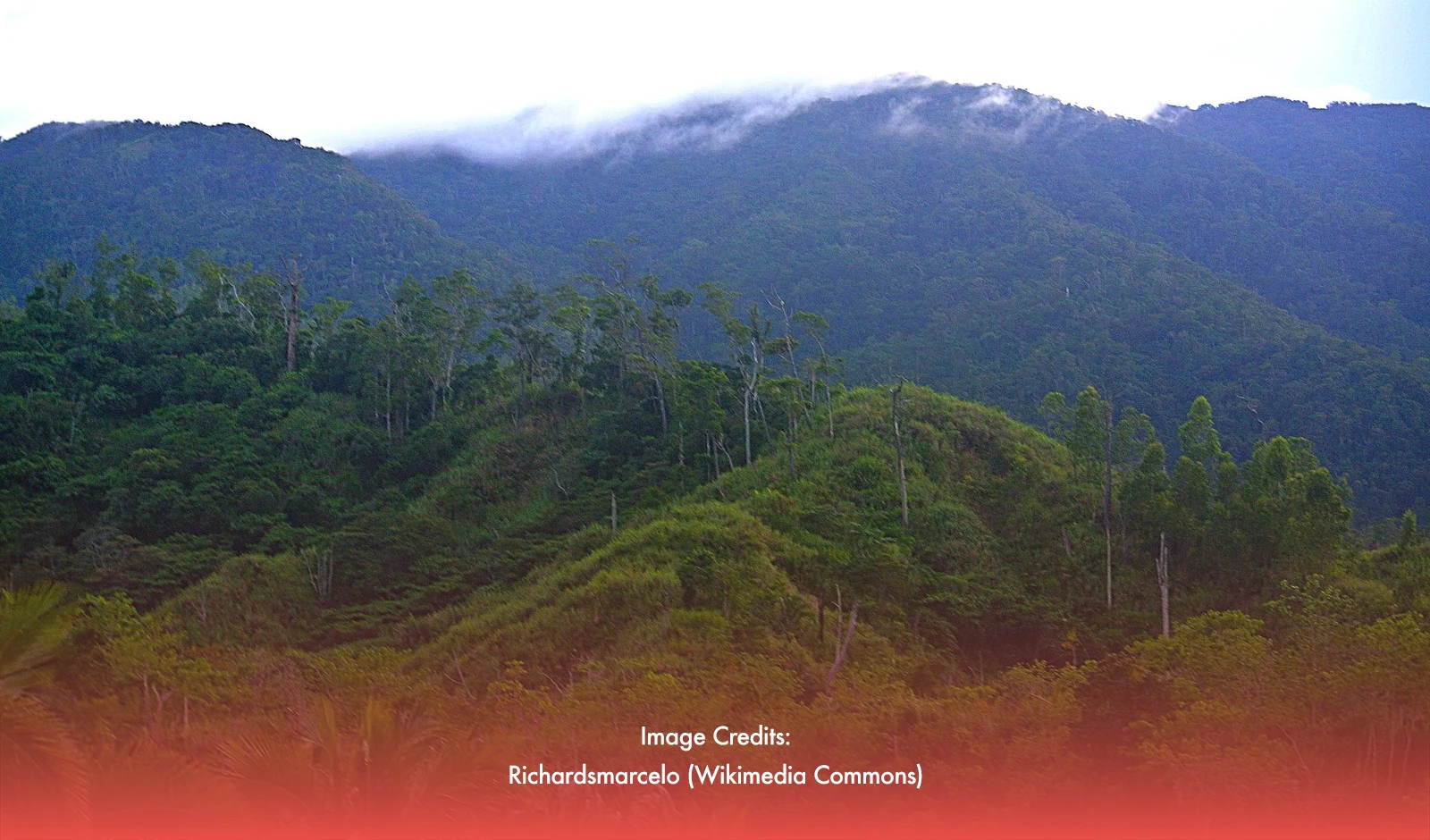 Climate Change Commission Calls For Sierra Madre Protection