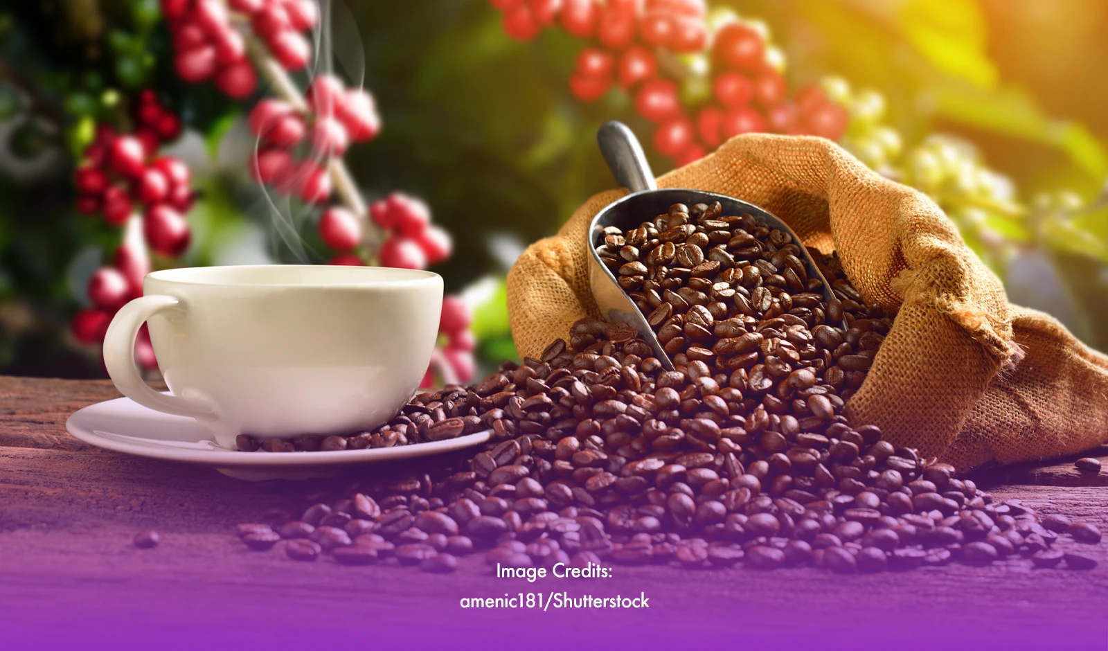 NorMin's Coffee Farming To Be Boosted By DA's P1-Billion Support