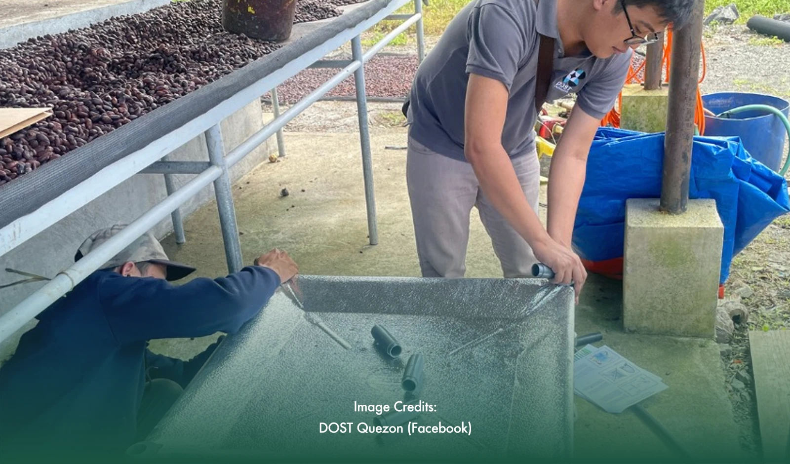 Drying Equipment Seen To Augment Cacao Production In Quezon