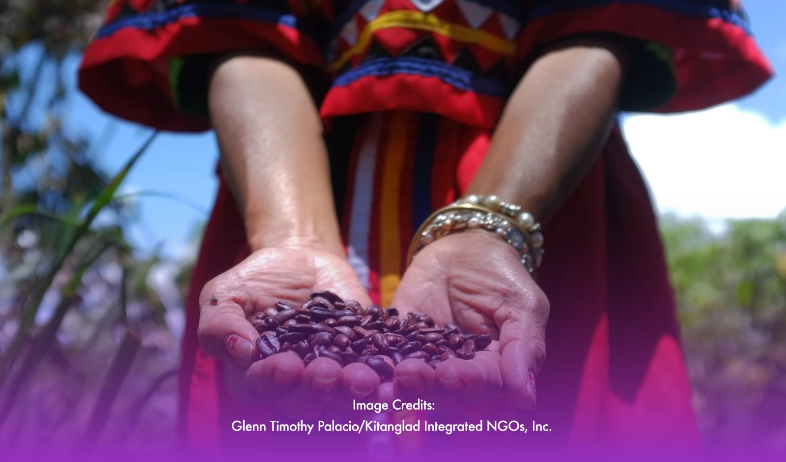 #KapeTayo: Bukidnon's Coffee Comeback