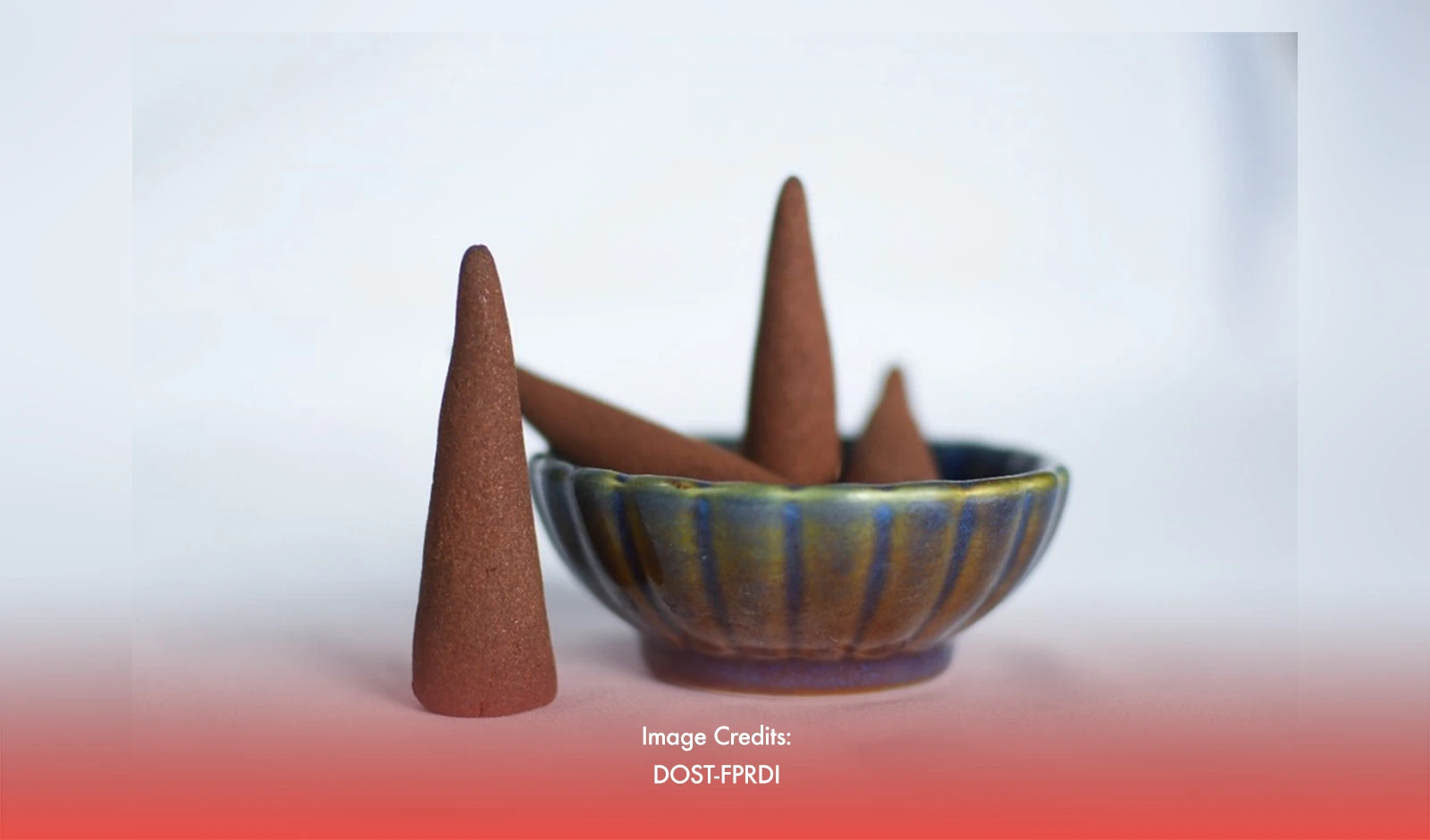 Forest Waste Discovered To Be Natural Insect Repellent