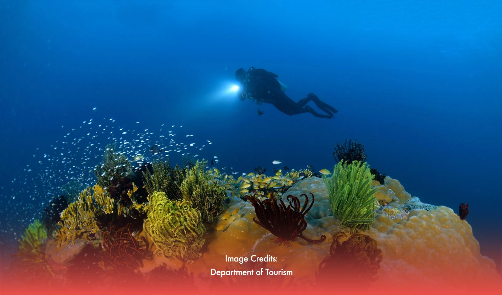 PH Bags 7 Nominations At World Travel Awards 2025—Here’s Why You Should Vote