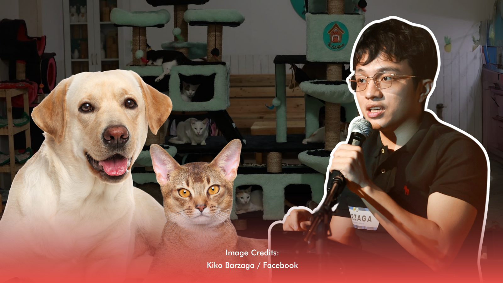 New Voice In Congress Champions Animal Welfare Programs