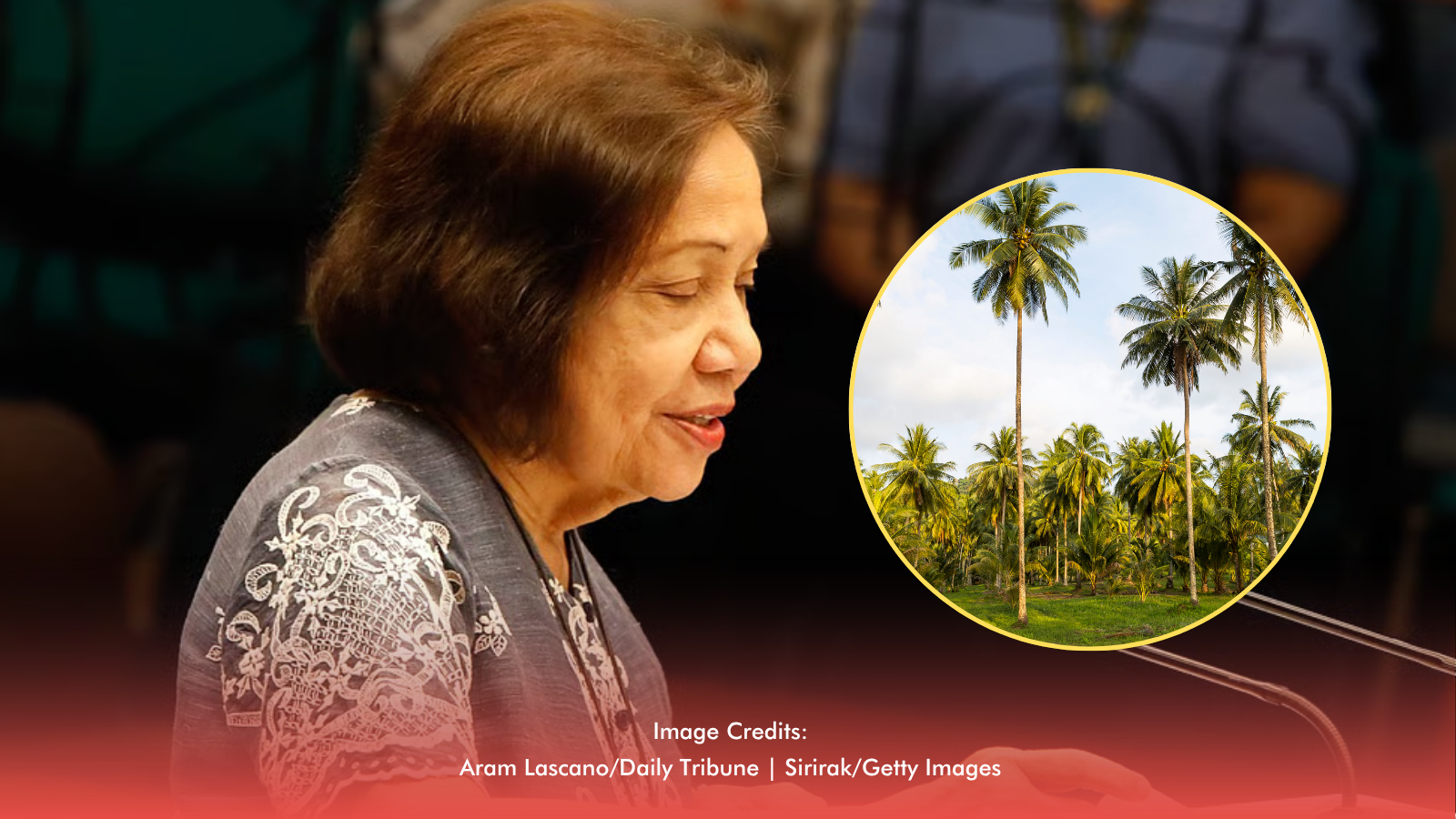 Villar-Led Coco Farmers Law Seals Long-Awaited Reforms