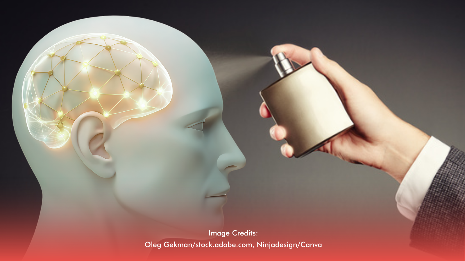 Can Perfume Make Your Brain Bigger? Science Says Yes!